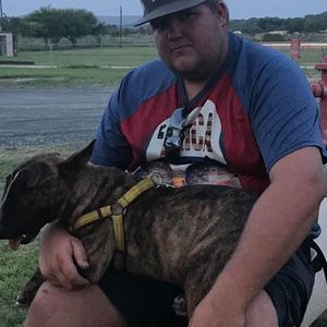 Meet your Posher, Brett